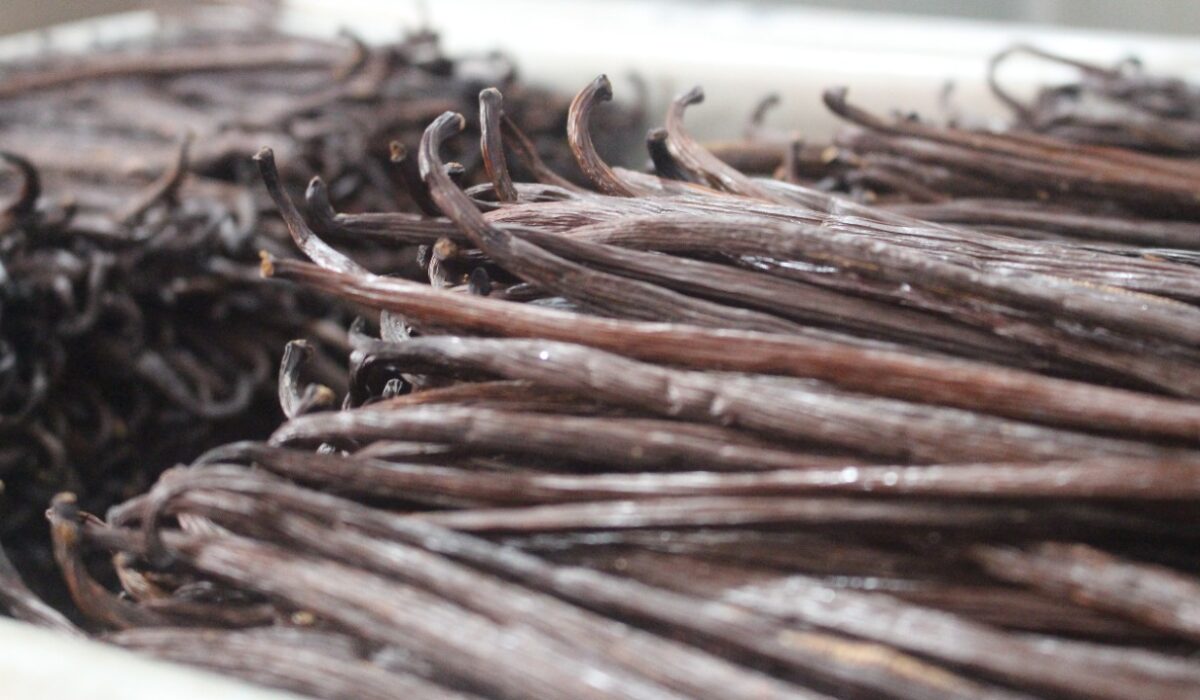 Palanifolia beans